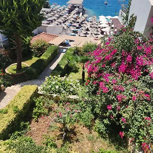Hotel Amelie's &, Sarande